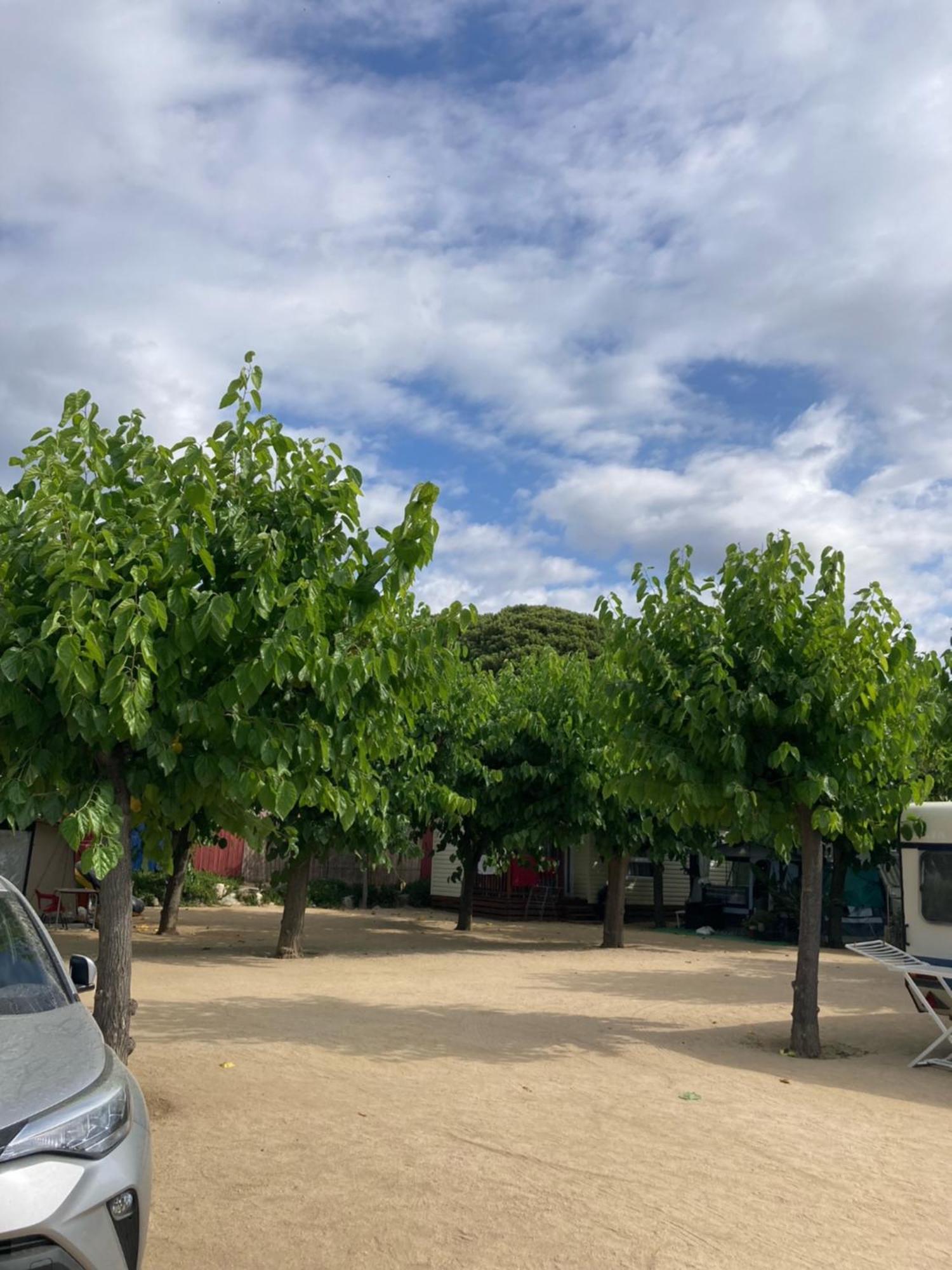 Camping El Pinar Platja Santa Susanna Eksteriør bilde