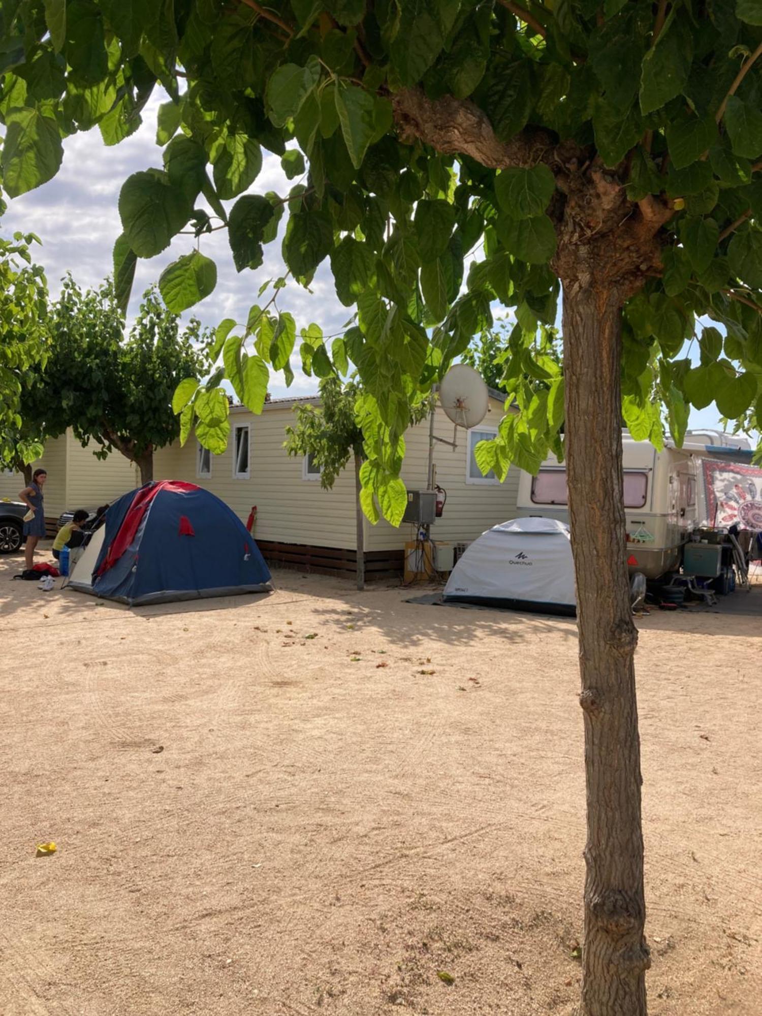 Camping El Pinar Platja Santa Susanna Eksteriør bilde
